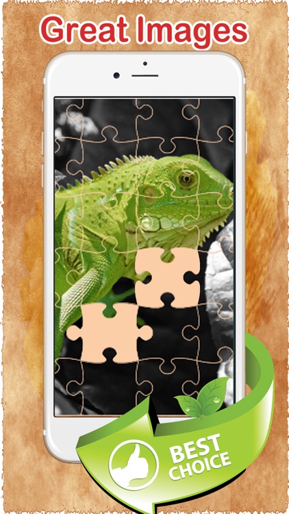 Dragon Puzzles Game Free Animated Jigsaw Puzzle for Kids! screenshot-4