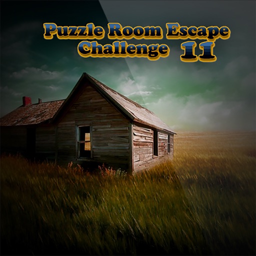 Puzzle Room Escape Challenge 11 Icon