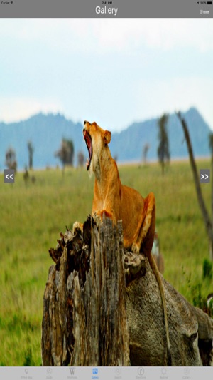 Ngorongoro Crater - Tanzania Tourist Tra