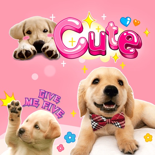 Dog Cute Sticker icon