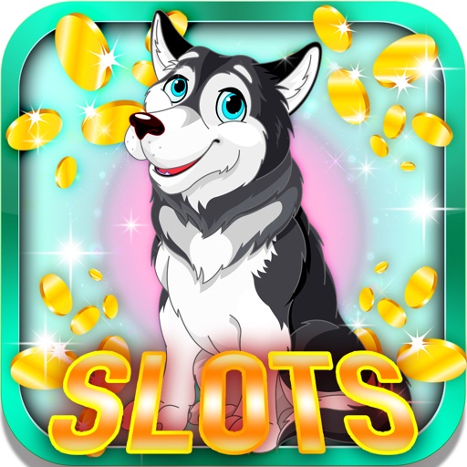 North Pole Slots: Lay a bet on the beautiful polar bear and earn daily super promotions