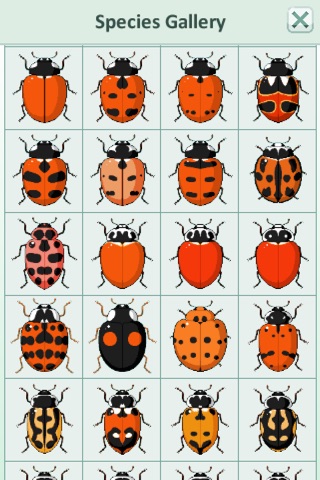 Adalia, Field Guide to Ladybugs of North America screenshot 3