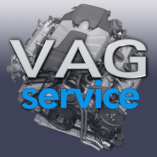 VAG service - Audi, Porsche, Seat, Skoda, VW. revisión y comentarios