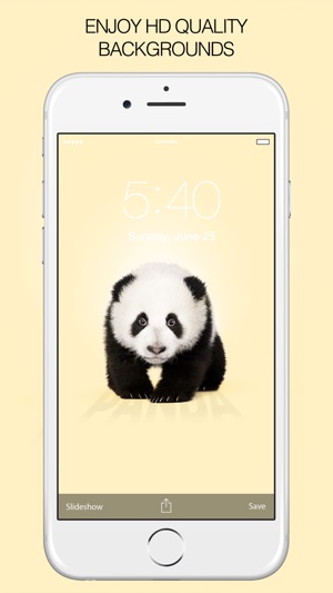 Panda Wallpapers – Panda Pictures & Panda Images(圖2)-速報App