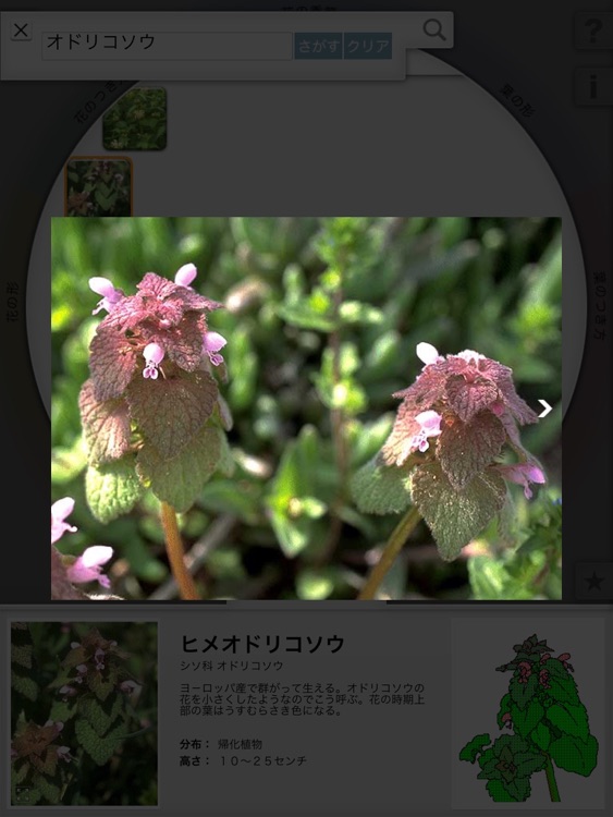 リング図鑑 《植物》 screenshot-3