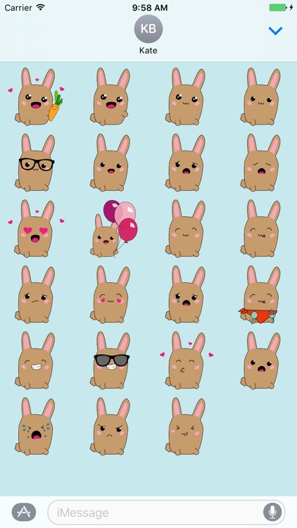 Little Bunny screenshot-3