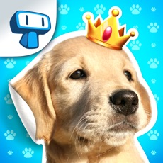 Activities of My Dog Album - Pet Sticker Book Game