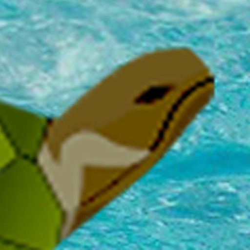 Turtle Hurdles Icon