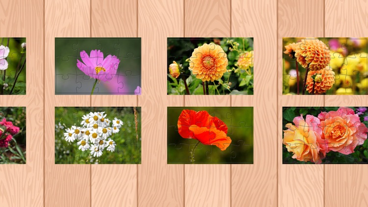 Flower Jigsaw Puzzle HD Games Free