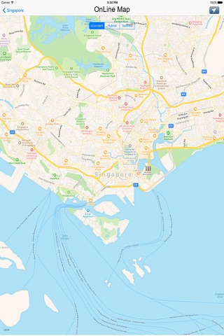 Singapore MRT & LRT Maps screenshot 2