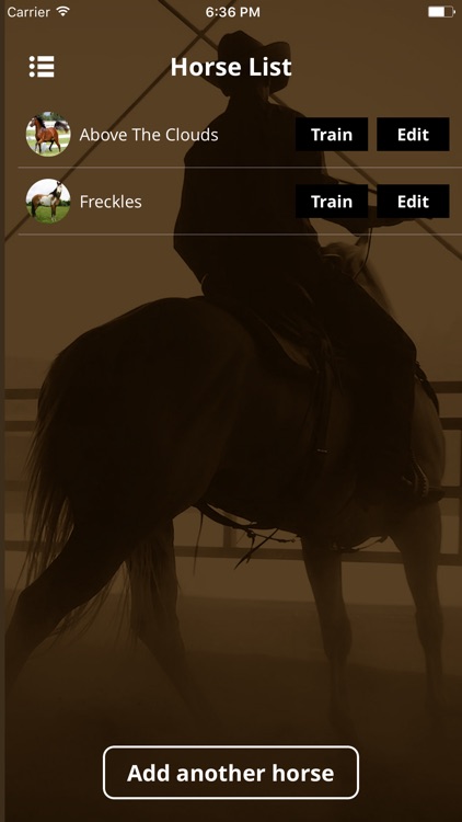 Warwick Schiller's Horse Training Checklist