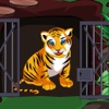 Icon Siberian Tiger Cup Escape