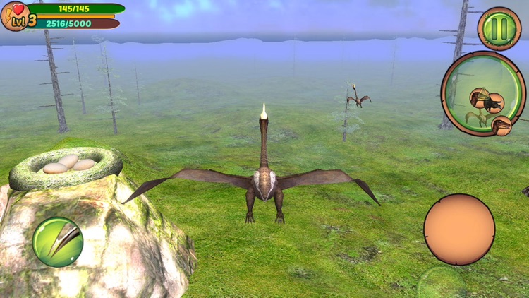 3D Pterodactyl Simulator Flight