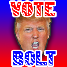 Activities of Vote Bolt
