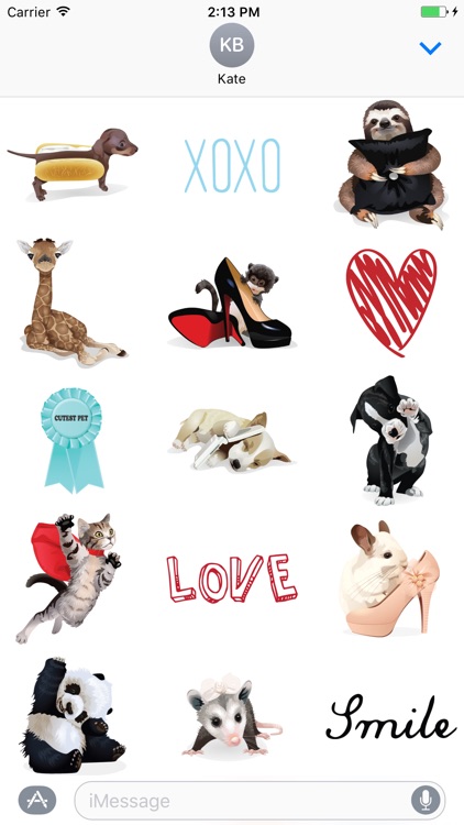 Fashion Pets Stickers