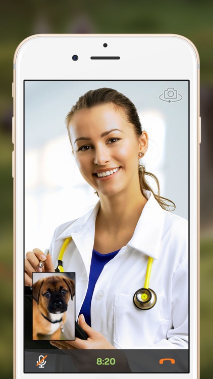 Petzam – Vet Video Call App for Dog & Cat Owners