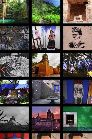 Frida Kahlo Museum Visitor Guide screenshot 4