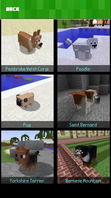 DOG MOD - Pet Dogs & Mermaid Mods for Minecraft PC