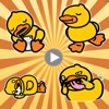 Yellow Cute Duck Animated Stickers