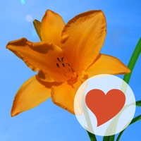 640 Photos pour PC