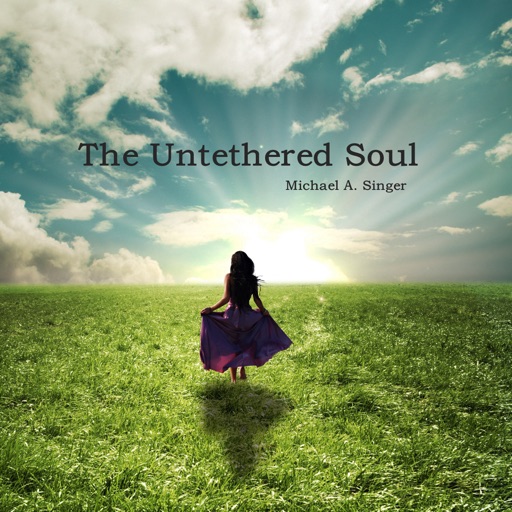 Practical Guide For The Untethered Soul