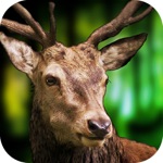 Deer Sniper Hunter 2016  Hunting Challenge Pro