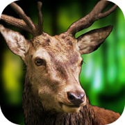 Deer Sniper Hunter 2016 : Hunting Challenge Pro