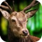 Ultimate Shooting takes the most popular and realistic hunting game to extreme wilderness environments in search of the biggest, most prized game around