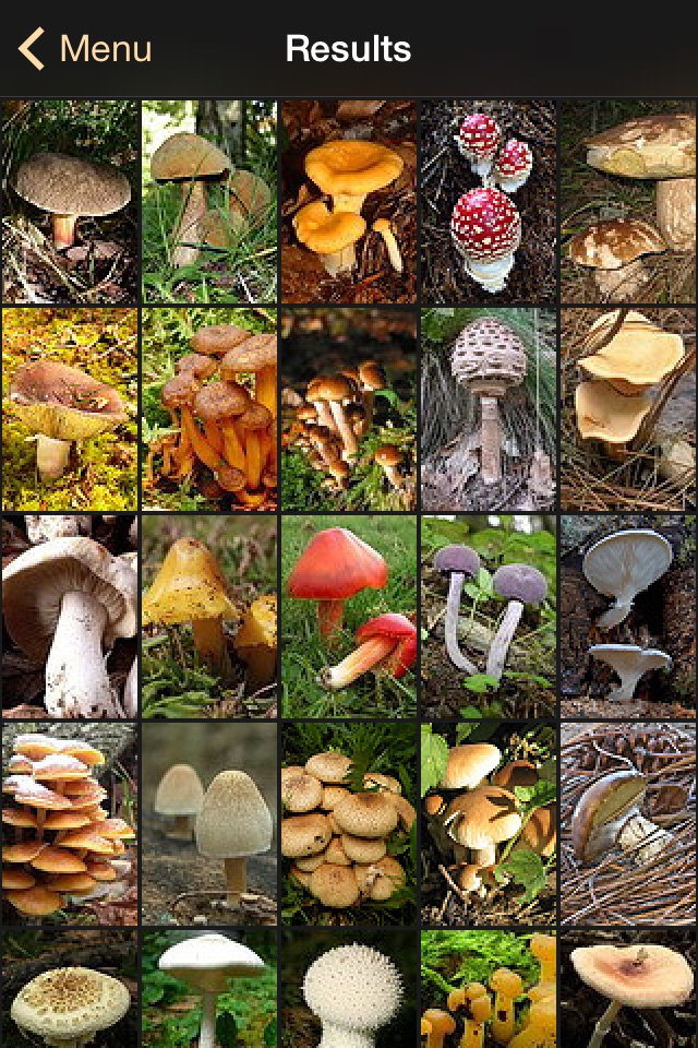 iFunch Lite - Mushrooms screenshot 3