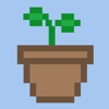 식물학101: 식물키우기 개복치 게임