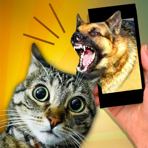 Scare Cat - Dog Prank Icon