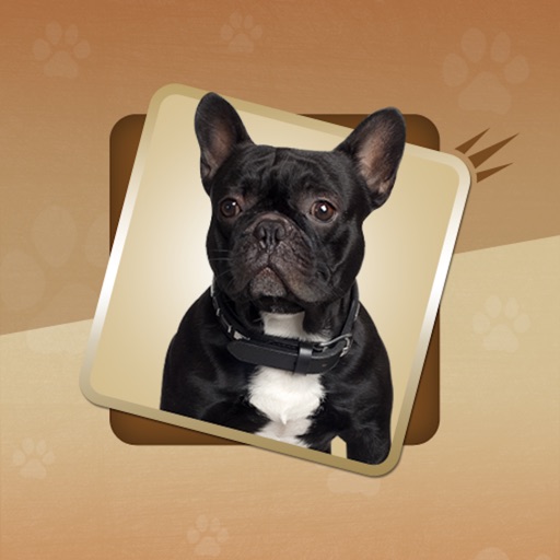 Dog Complete Reference icon