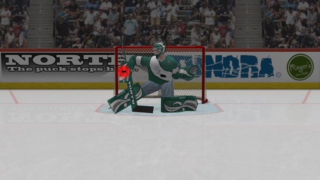 Virtual Goaltender