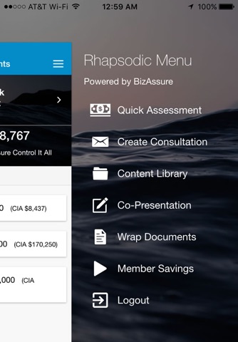 Rhapsodic Sales screenshot 2