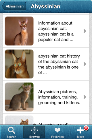 Cat breeds and guides screenshot 2