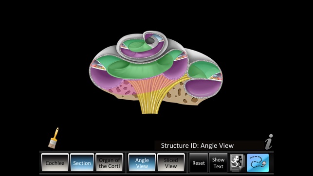 Inner Ear ID(圖2)-速報App