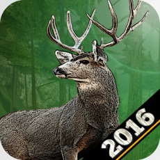 Activities of Big Game Wild Deer Hunting 3D Hunter 2016