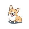 Pembroke Welsh Corgi - Dog Stickers and Emoji