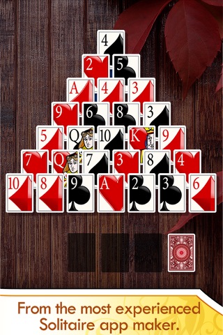 Solitaire Deluxe® Pro - Classic, Spider, more screenshot 2