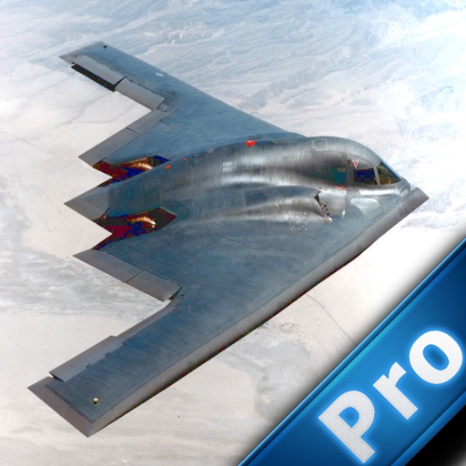 A Dangerous Flight Pro - Realistic Combat Flight icon
