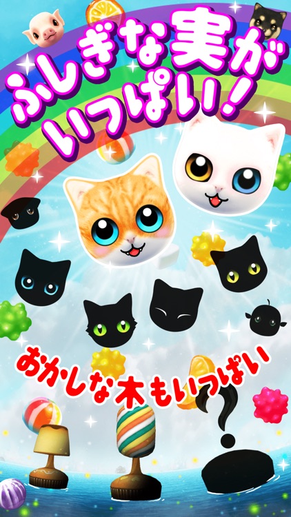 きになる猫 screenshot-4