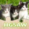 Cat jigsaw puzzle free game for toddler, kids, boy, girl or children
