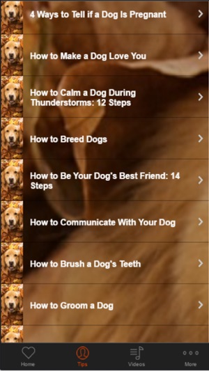 Dog Training Guide -Learn Basic Dog Training Tips(圖2)-速報App