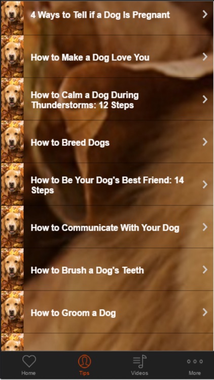Dog Training Guide -Learn Basic Dog Training Tips screenshot-1