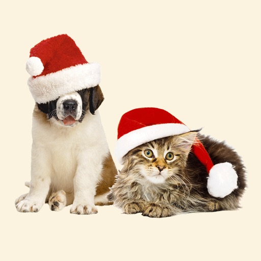 Christmas Pets Sticker Pack iOS App