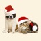 Christmas Pets Sticker Pack
