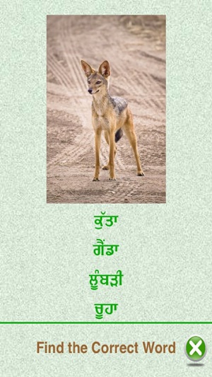 Flashcards Punjabi Lesson(圖5)-速報App