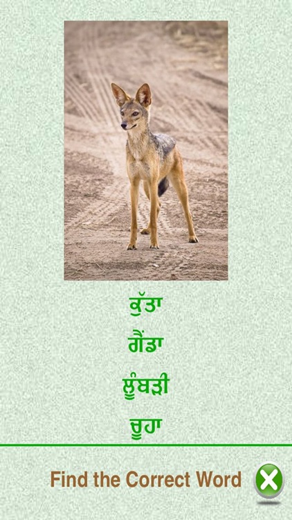 Flashcards Punjabi Lesson screenshot-4