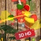 Fruit Cut HD Pro - slice games