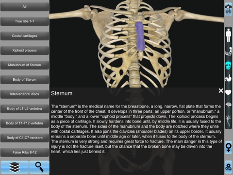 Anatomy 3D for iPad screenshot 4